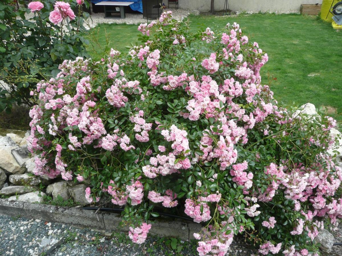 Maison Blanc Bed and Breakfast Gibourne Buitenkant foto